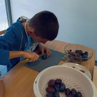 b0e61ceb-9064-44fe-8cb1-71a6455fbc90