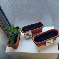 c9e7d89a-99b1-4929-b9d1-27c58efcb1b0