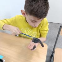 IMG 20250513 114152755 MP