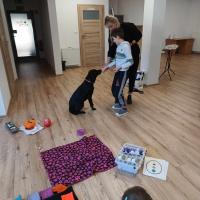 cf6bd88e-2cae-4ba6-ad3d-1df09399646b