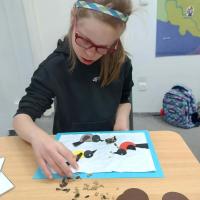 d94a36af-d62e-452e-b40b-05eb949da0db