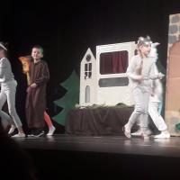 317468891 443273384666668 7220519268305447674 n