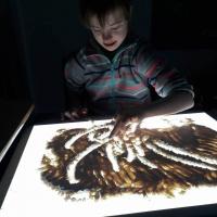 325633279 2104993176556402 4957748054820302039 n