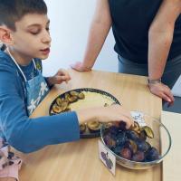 fe24a87f-f982-4b4c-ac2a-d26b70977622