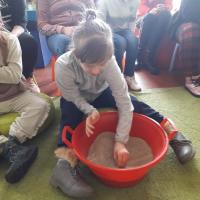 333009063 3496470340678258 2345885303906184329 n