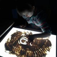 323588201 899621161487781 1485341879909357009 n