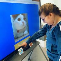 d185b290-2868-4220-88e4-8315f41467ed