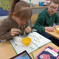 IMG 20250411 101707194