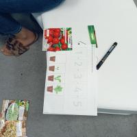 c5de4881-8591-43da-9493-651eb1ad5fa1