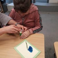 326064393 716803399818882 7272222896014077906 n