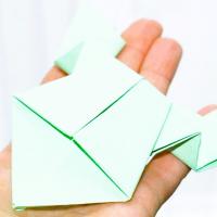 Skacząca żaba zdjęcie tytułowe