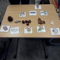 316523484 544359624171274 5305933341940934158 n