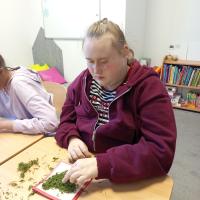 IMG 20260116 103401 1