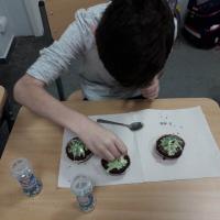 326776783 505808068345061 9153730626995580803 n