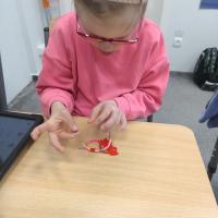 IMG 20250526 112537878