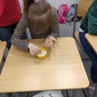 IMG 20250411 102527552