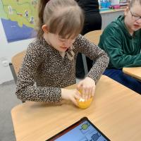 IMG 20250411 102136229 HDR