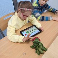 487428682 9054937514610432 7977144690239496251 n