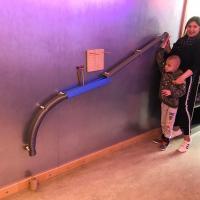 337925905 481787767405996 2780255598124227958 n