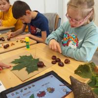 380193273 337184185557660 6962593820548736831 n