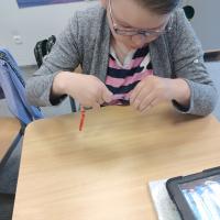 IMG 20250526 114323729