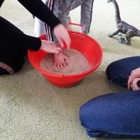 332082253 3442145636009087 1276520338485609977 n