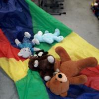 316857277 399913338935794 7384291969225623846 n