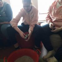 332052721 213301884590945 4526066988560851944 n