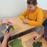 370249951 861230512196789 3815870871851785615 n