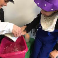 316996210 685467766521070 1783391144870937583 n