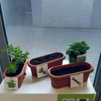 a39e86f3-df29-4079-b03a-d6091569dadf