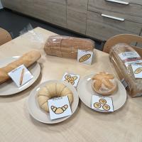 IMG 20240227 093150863