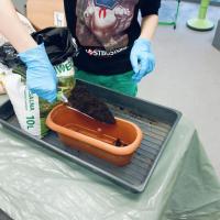 35352283-5c02-4fb3-840e-d2244c7a8a8a