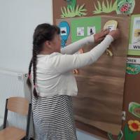 350383653 610656324351611 7096109167234819382 n