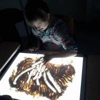 320567489 713278587063407 8268093845055800428 n