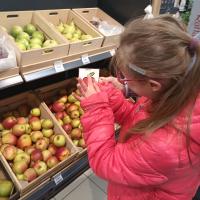 IMG 20250521 092524860